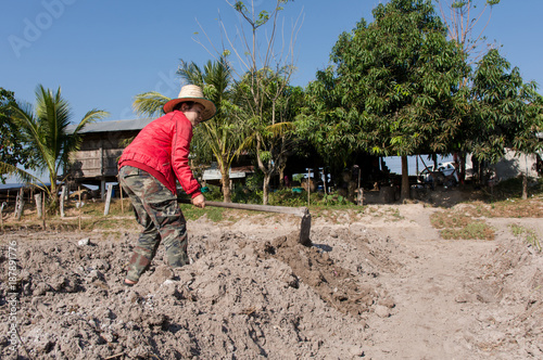 Woman farmer holding spade at garden doing vegetable patch, garden plot for planting Sweet potato