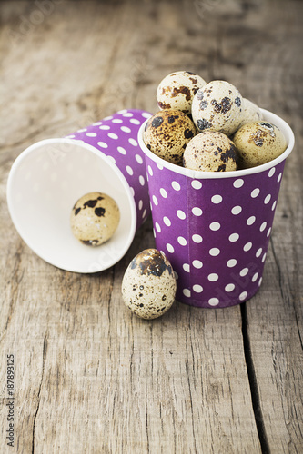 quail eggs with paper cups with a pattern of polka dots