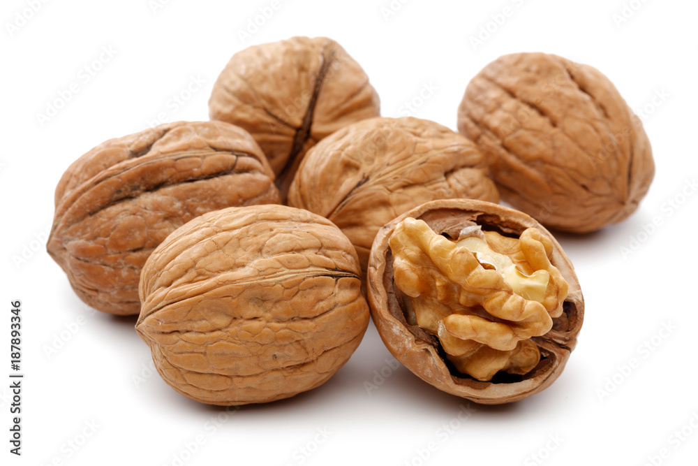 Walnut Walnut