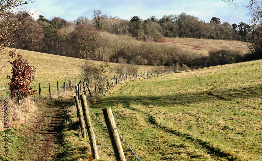 A footpath between fenced fields in the Chiltern Hills in England