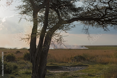 Steppe fire on the Chobe River in Botswana