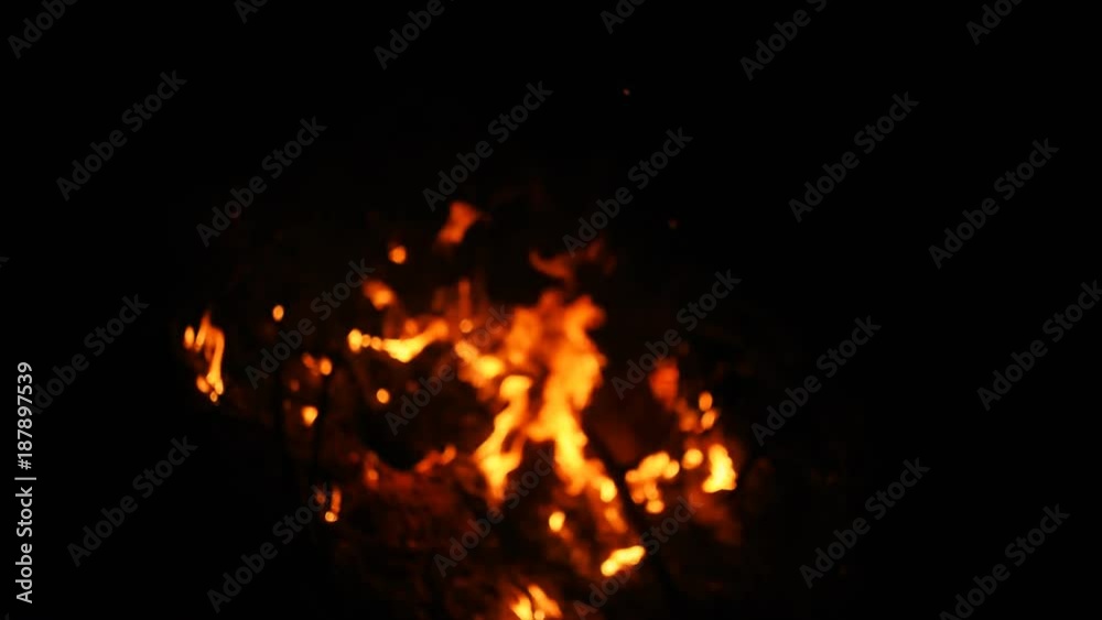 Fire in nature. Bokeh from the fire. Blurred backgrounds. Space views. Sparks are beautifully flying right at you. Shooting speed 60fps, slow motion. Live shooting of the most beautiful flame. Fire in nature. Bokeh from the fire. Blurred backgrounds. Space views. Sparks are beautifully flying right at you. Shooting speed 60fps, slow motion. Live shooting of the most beautiful flame.