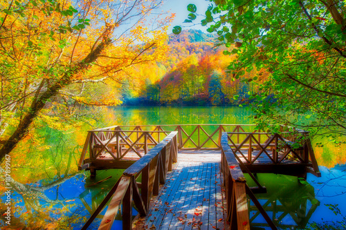 Autumn landscape in (seven lakes) Yedigoller Park Bolu, Turkey