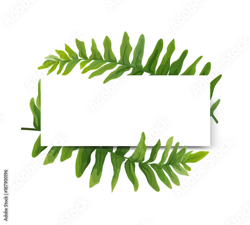 Floral modern vector card design: green Polypodiophyta fern frond leaves elegant greenery, forest wreath frame border print. Vector illustration, Wedding cute Invitation, invite template beauty design