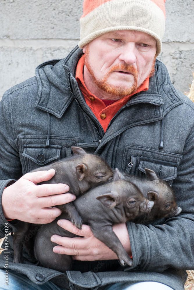 The Farmer Is Holding The Newly Born Pigs Creative Rest With Children the-farmer-is-holding-the-newly-born-pigs-creative-rest-with-children