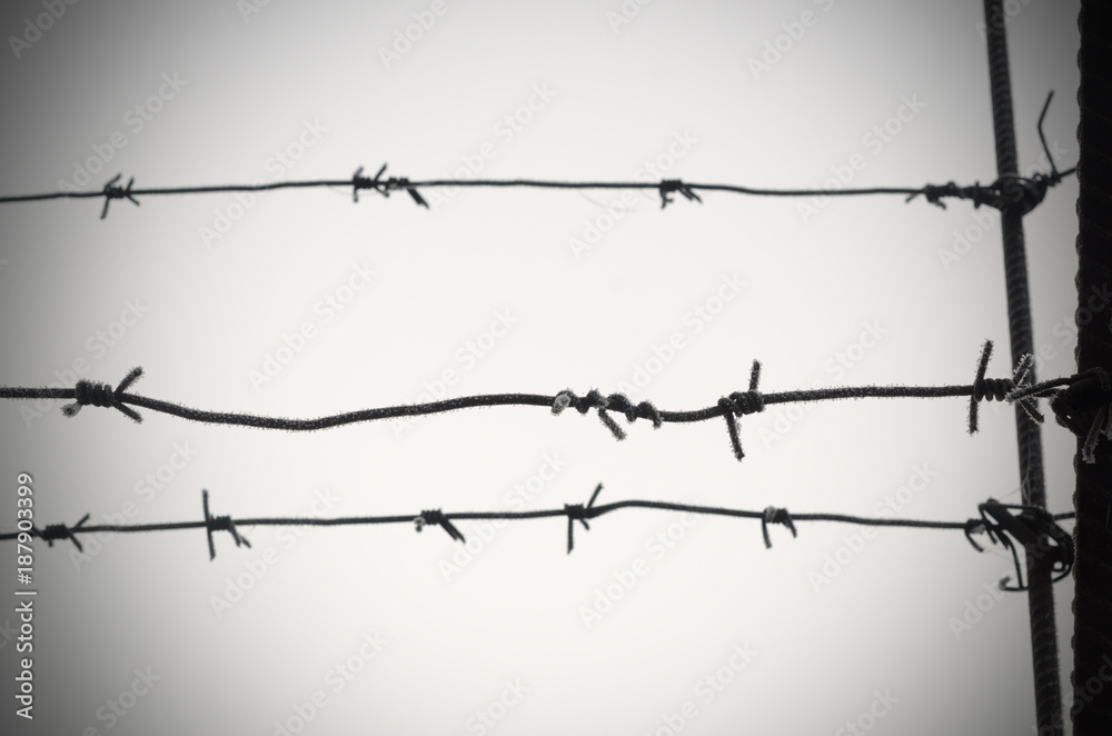 Barbed wire is a symbol of unfreedom, deprivation and concentration camps. Barbed wire is a symbol of unfreedom, deprivation and concentration camps.
