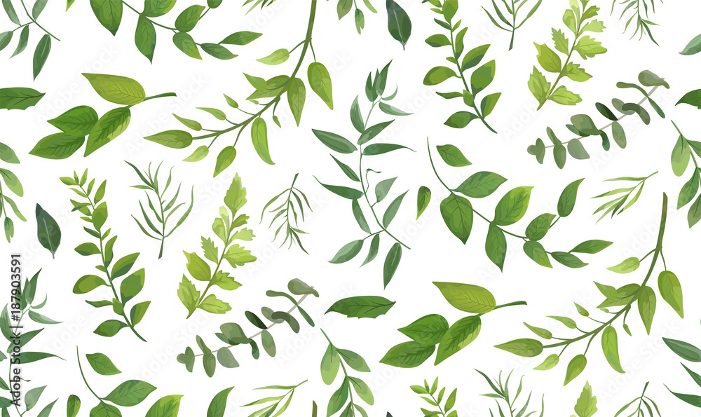 Seamless pattern of Eucalyptus palm fern different tree, foliage natural branches, green leaves, herbs, tropical plant hand drawn watercolor Vector fresh beauty rustic eco friendly background on white - obrazy, fototapety, plakaty 