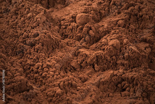 Cocoa Powder photo