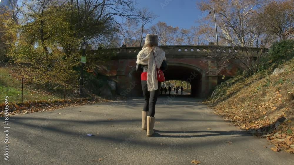 New York City,USA - November 2014: 4K Video of girl walking in Central Park New York City,USA - November 2014: 4K Video of girl walking in Central Park