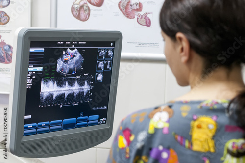 Doctor uses ultrasound scan in veterinary clinic