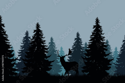 coniferous forest with a fallow deer