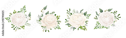 Vector floral bouquet design: white garden Ranunculus, Rose flower, fern, eucalyptus, mistletoe branch greenery leaves berry. Wedding vector invite card Watercolor watercolor cute designer element set