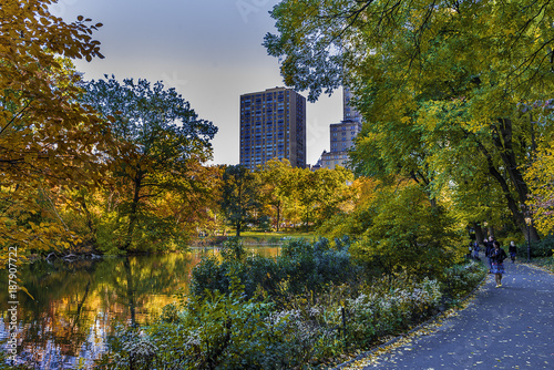 Centeral park at Manhattan © Abbady
