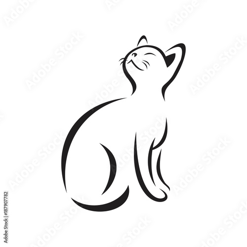 The Cat Looks Up