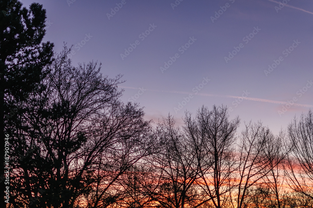 Sunset over the forest. Image in the orange-blue toning Sunset over the forest. Image in the orange-blue toning