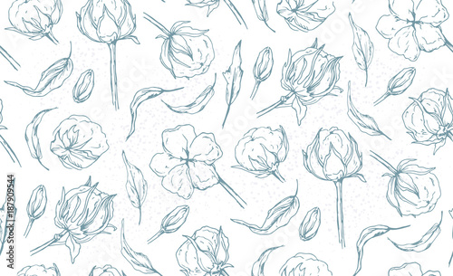 Seamless pattern with cotton ball flower, leaves hand drawn light blue linear natural designer elements. Beautiful, cute lovely elegant wallpaper, textile fabric design. Tender linear graphic print