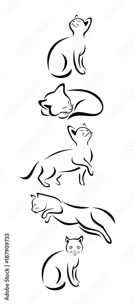 A Set Of Cats In Different Poses