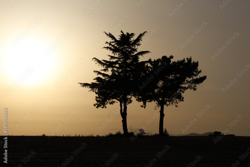 Obraz premium Naturaleza al atardecer