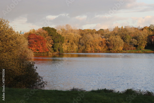 Ile-de-France - Brétigny-sur-Orge - Etang de Carouge en automne photo