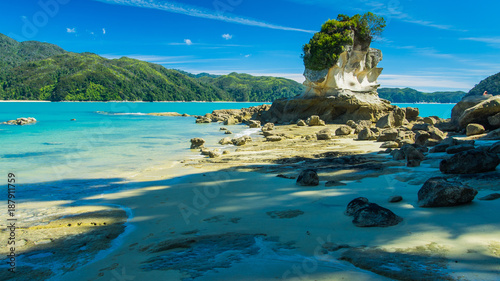 Sunny beach in New Zealand. Abel Tasman.