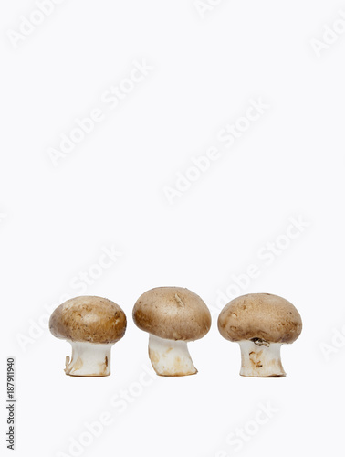 Mushrooms Standing Tall on White