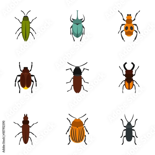 Nature beetle icons set, flat style