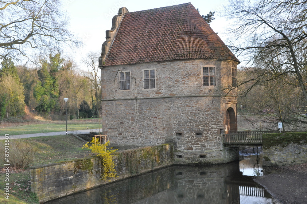 Fototapeta premium house