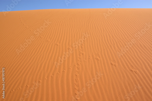 Sahara Desert  Erg Chebi dunes. Merzouga  Morocco