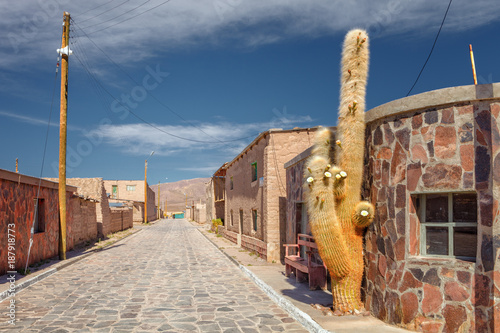 Street of the town of Cariquima, with giant cacti, near Colchane, in the Tarapaca region, in the foothills of the Cariquima mountain, Chile photo
