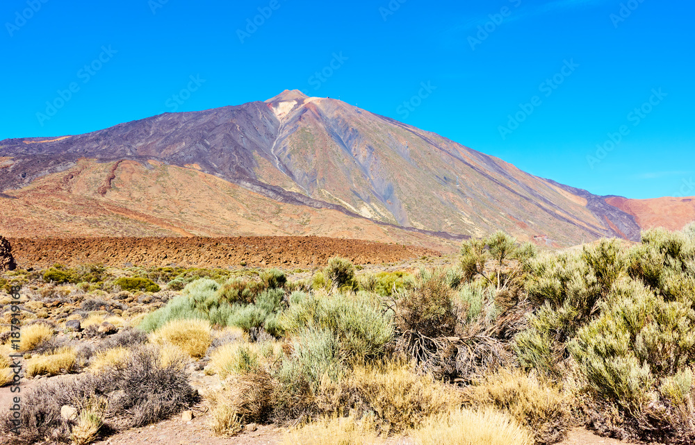 Pico del Teide