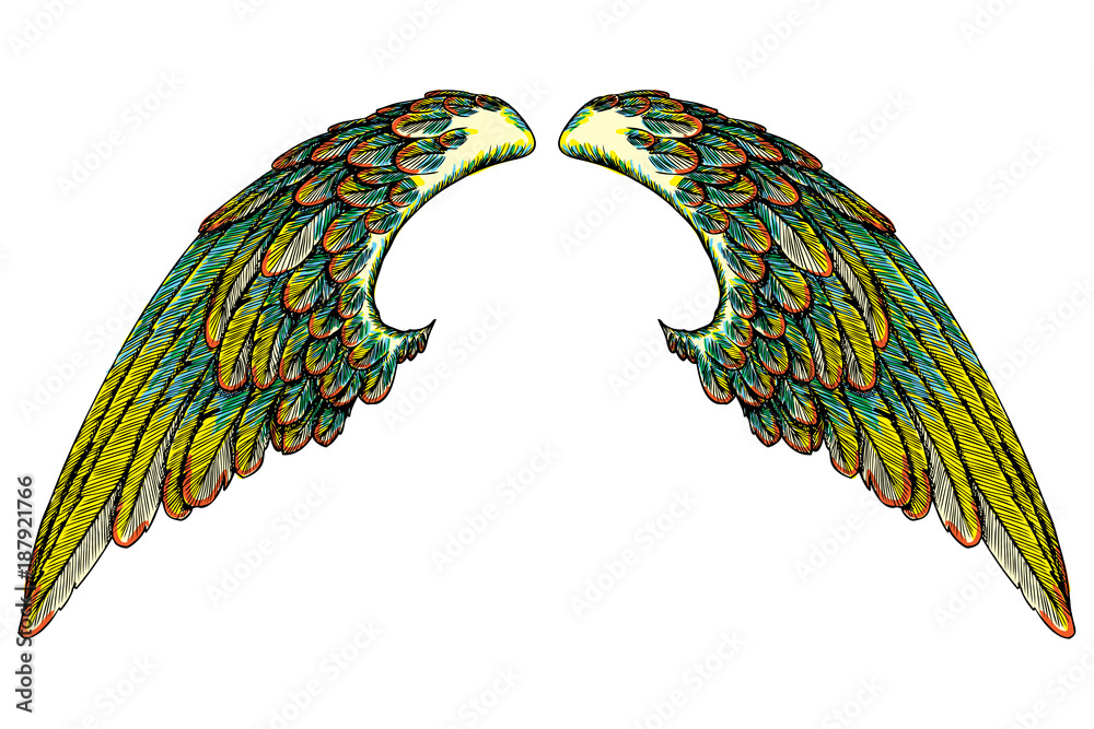 Eagle Wings Tattoo Stock Illustrations  13876 Eagle Wings Tattoo Stock  Illustrations Vectors  Clipart  Dreamstime