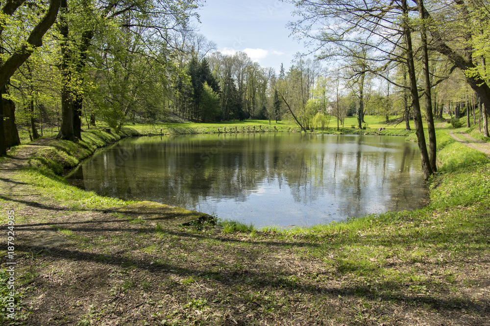 Gardens with pond during spring season, romantic scene, water reflections