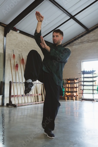 Kung fu fighter training martial arts photo