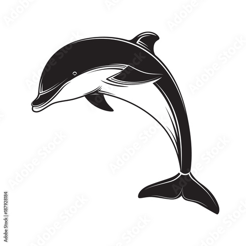 Dolphin icon black silhouette on white background. Dolphin emblem and label