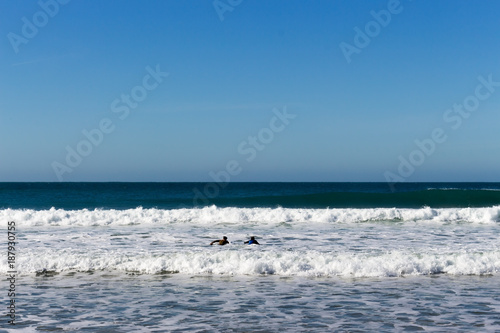 Surfistas intentando coger una ola