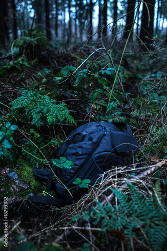 Lost backpack in ditch of dark forest.