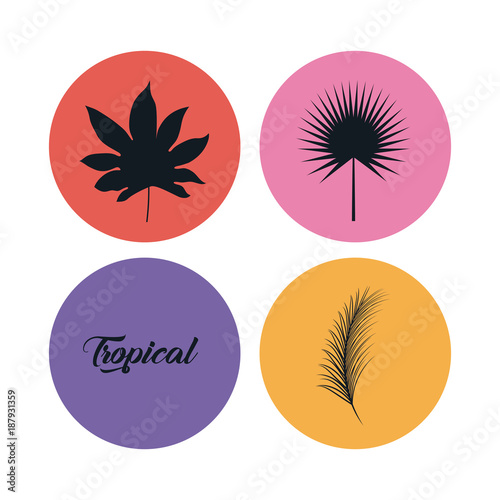 set of summer and trendy tropical leaves 