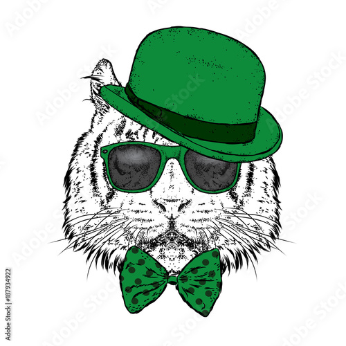 Fototapeta Naklejka Na Ścianę i Meble -  A beautiful tiger with a hat and glasses. Vector illustration. Wild animal, predator.