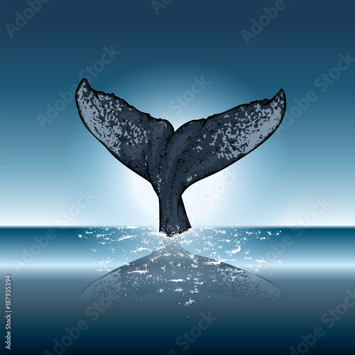 A whale diving into the water. Vector illustration for a postcard or a poster, print for clothes. Sea and ocean.