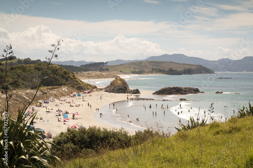Summer in New Zealand
