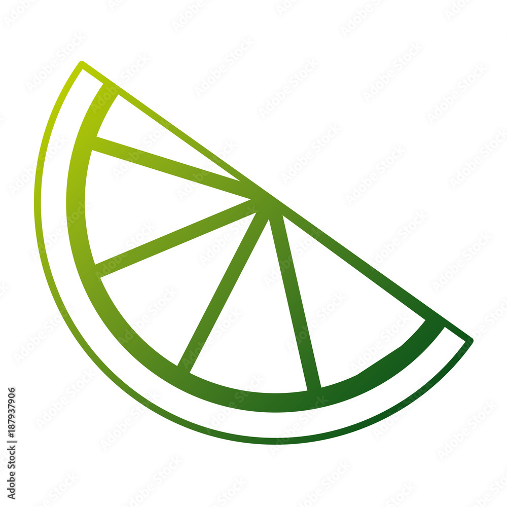 slice lemon citrus fruit fresh image vector illustration slice lemon citrus fruit fresh image vector illustration