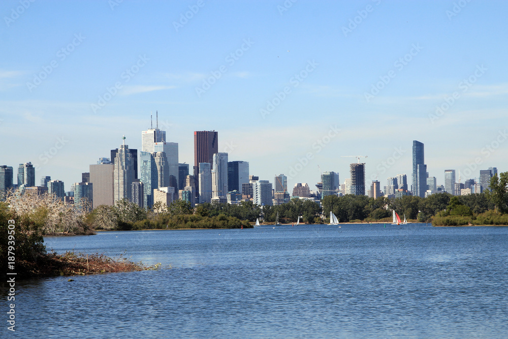 View on Toronto downtown