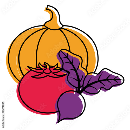 pumpkin tomato and beet vegetables fresh vector illustration