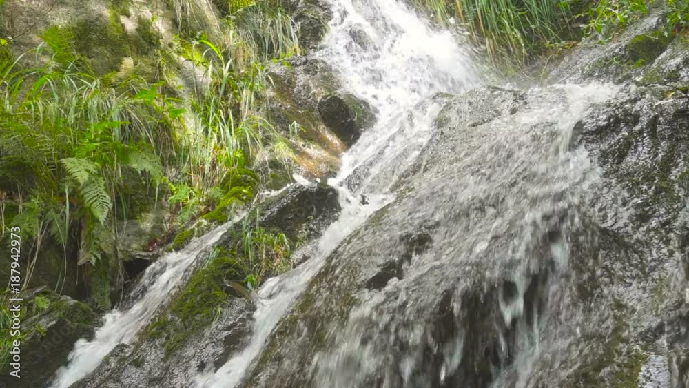 Small Waterfall in the Forest and Water Flowing Through the Rocks Small Waterfall in the Forest and Water Flowing Through the Rocks