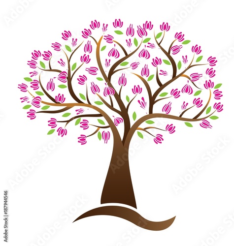 Cherry blossom tree vector logo image