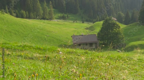 Stone Cottages in a Wild Alpine Valley and Forest in Italy photo