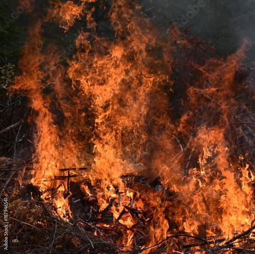 Brush pile burning flames