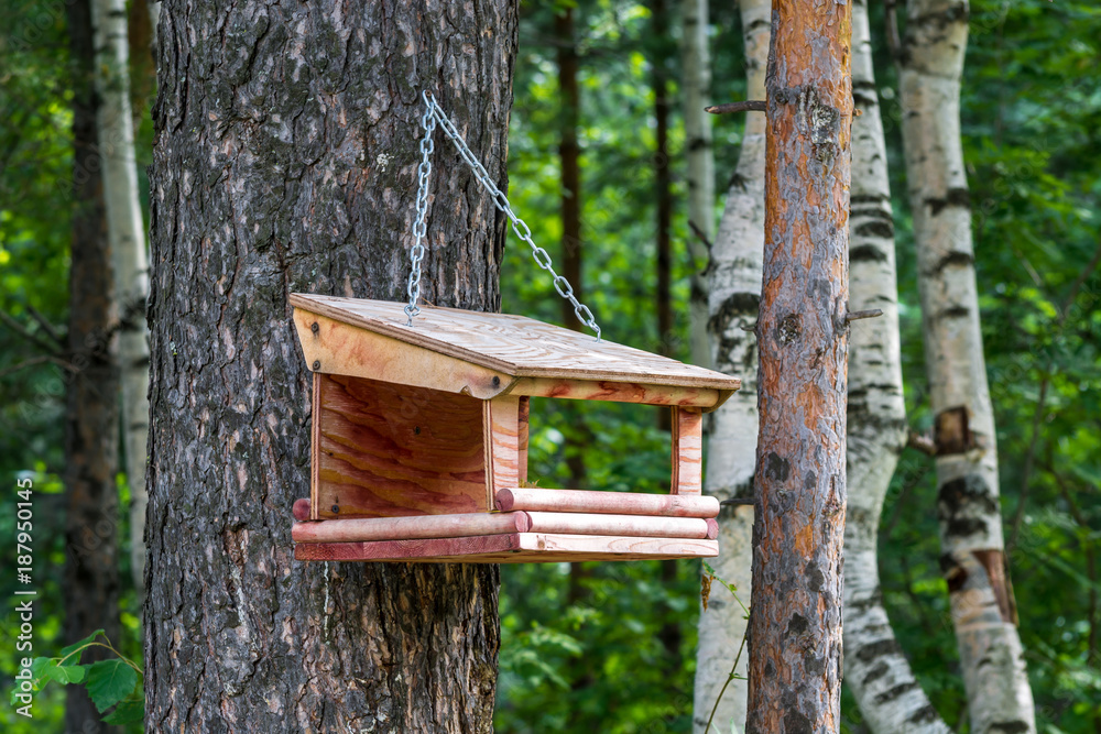Feeder for birds and squirrels hanging on tree in Park Feeder for birds and squirrels hanging on tree in Park