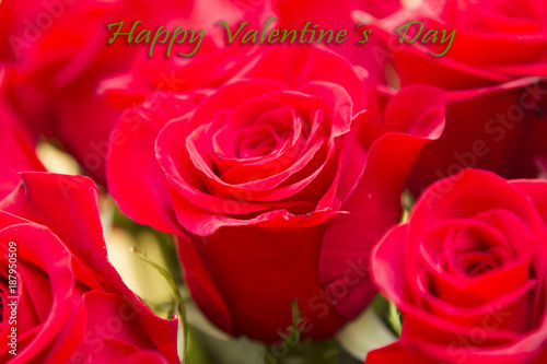 valentines congratulation with bouquet of red roses