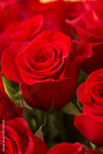 bouquet of red roses